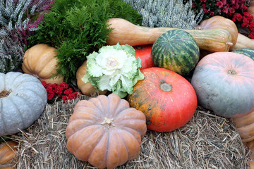 Beautiful colorful still life with lot of flowers and autumn vegetables on hay