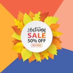 Autumn Sale Fashionable Banner Template with Colorful Fall Leaves on bright trendy background