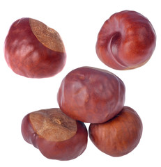 set of brown chestnuts isolated on white