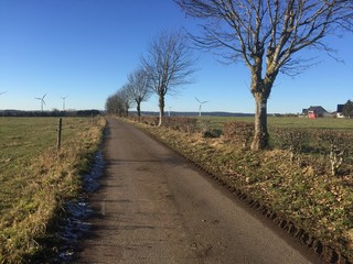 Herbsttag Landstraße