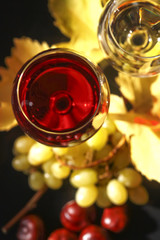 Wein