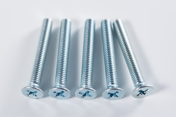 screws on white background