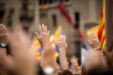 Manifestación de protesta contra la carga policia española