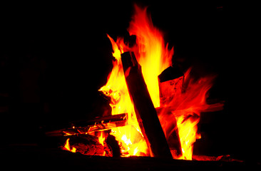 Bonfire 