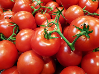 Tomaten freigestellt