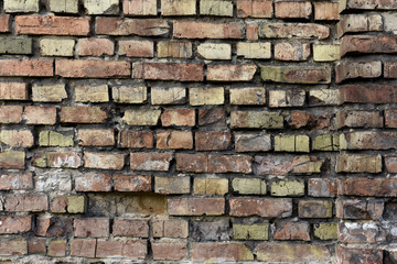 ceglany mur