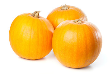 Studio shot of three pumpkins, isolated on white background