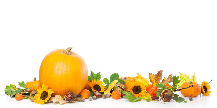 Border frame of large and small pumpkins with leave, physalis and sunflowers.Studio shot, isolated on white background