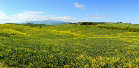 Tuscany hills with flowers on green fields