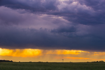 Pampas Landscape