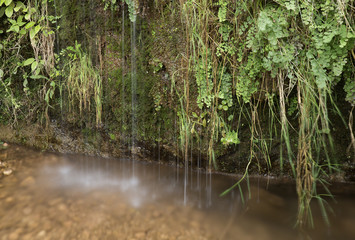 Jets of water next to the world river