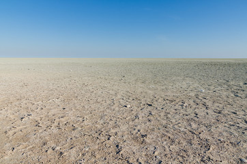 Scenic view over dry Etosha pan landscape in Etosha National Park, Namibia, Southern Africa