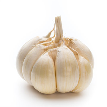 Garlic isolated on the white background.