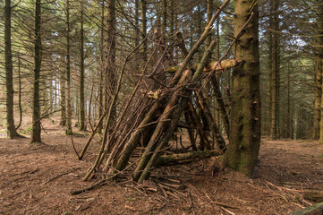 A makeshift hiking hut of branches, in a green forest, temporary shelter to stay safe in the bad weather, on a hike in the woods.
