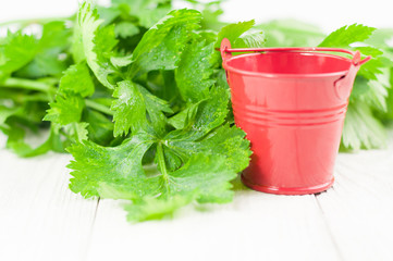 Heap of green raw fresh celery and red empty metal bucket beside on old white wooden rustic planks