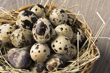 Quail eggs in a nest on a rustic wooden background. Healthy food concept.