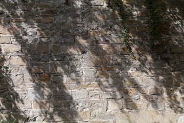 Old wall with shadows background