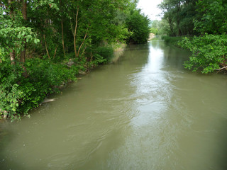 Flusslandschaft
Ein trüber Fluss schlängelt sich durch den Auwald.
