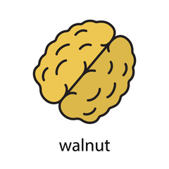 Walnut color icon