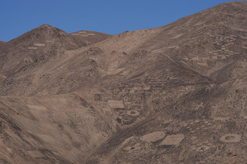Large group of ancient petroglyphs on the hillsides at Cerro Pintados in the Atacama Desert in the Tarapaca Region of northern Chile. 