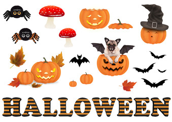 cute funny halloween elements, isolated on white background