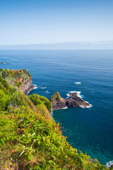 Vertical coastal summer landscape of Madeira