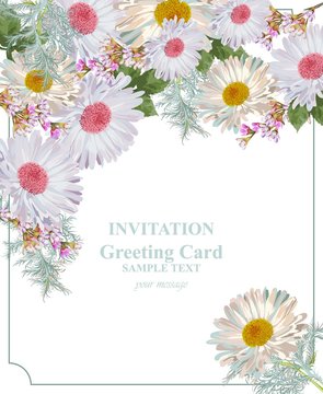 Greeting card with chamomile flowers bouquet Vector illustration