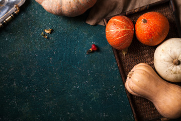 Variety of pumpkins of different size, form and color on a tray on rustic textured blue bakground. Top view with copy space