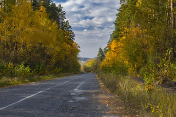 Empty road through mixed forest at autumnal season in Sumskaya oblast, Ukraine