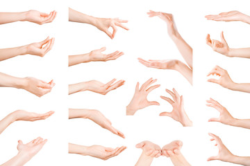 Set of woman hands showing, holding and supporting something. Isolated with clipping path