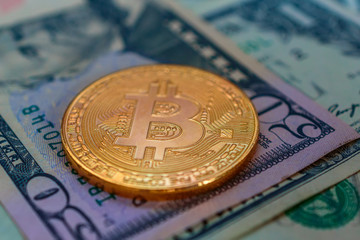 bitcoin against the background of dollars