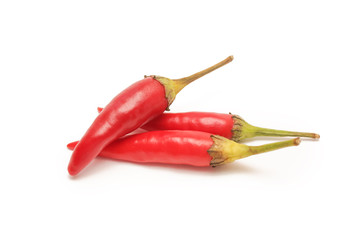 Chili peppers on white background