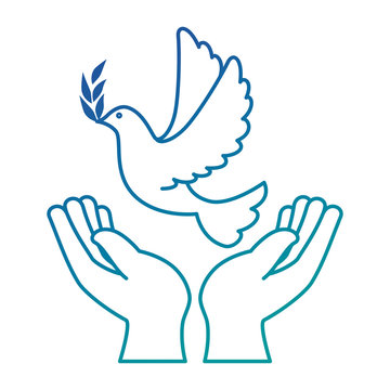 hands human with dove of peace