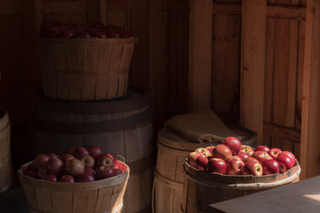 bushels of bright red apples, inside cider mill © Jim Babbage