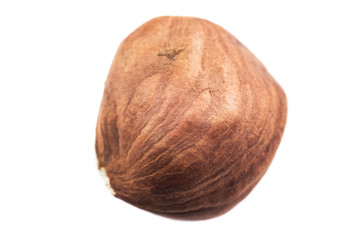 Single raw hazelnut isolated on white background, macro image