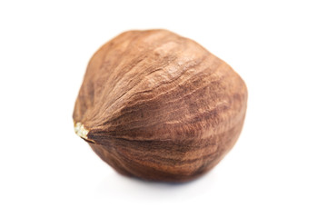 Single raw hazelnut isolated on white background, macro image