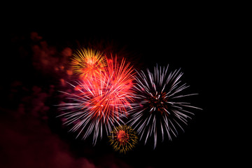 Fireworks light up the dark sky