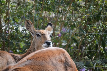 Parque Natural SendaViva Navarra España