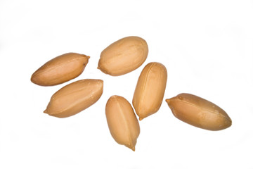 Some peeled peanuts on a white background