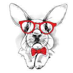 Naklejka premium Rabbit in a glasses and with red tie. Vector illustration.