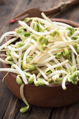 Bowl wood with Mungbean Sprouts on wooden background