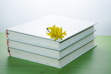 White book on a green desk