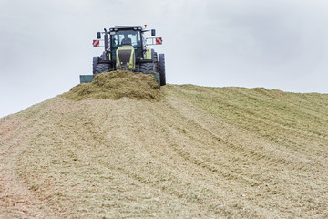 Obraz premium Maisernte Trecker schiebt Silage auf Silo