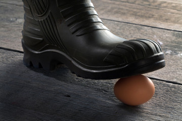 foot in a rubber boot over a chicken egg