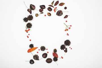 circle from autumn leaves