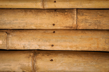Obraz premium bamboo background