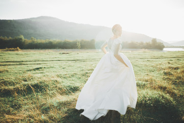 Bride in wedding dress posing on grass with beautiful landscape background