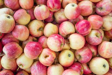 Red and yellow apples pile