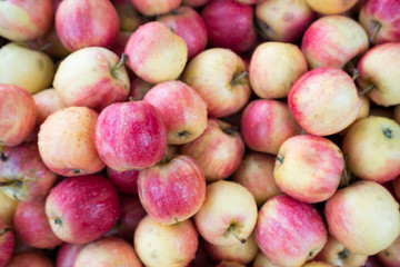 Red and yellow apples pile background