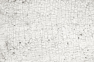 Obraz premium background of old wall texture